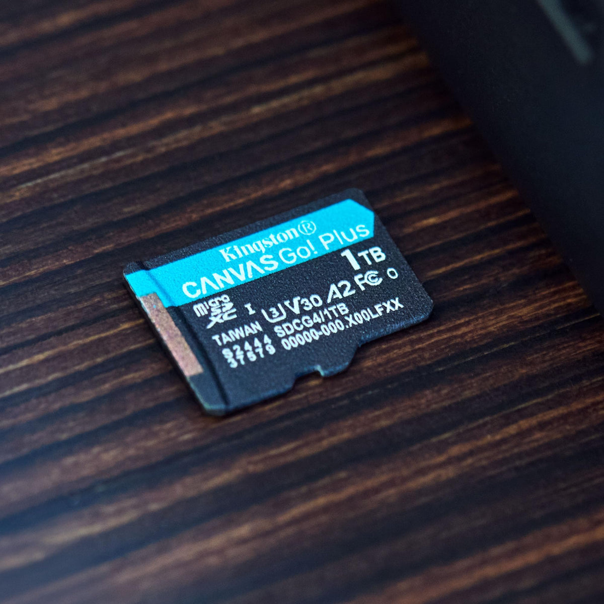 Kingston Canvas Go Plus microSD Card