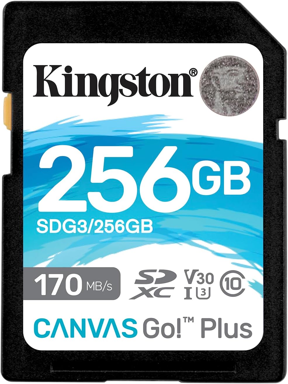Kingston SDXC Canvas Go Plus 170MB/s Read UHS-I - 256GB